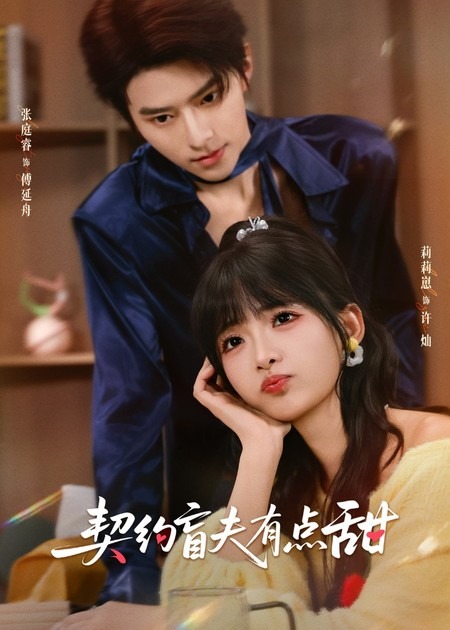 契约盲夫有点甜(全集)