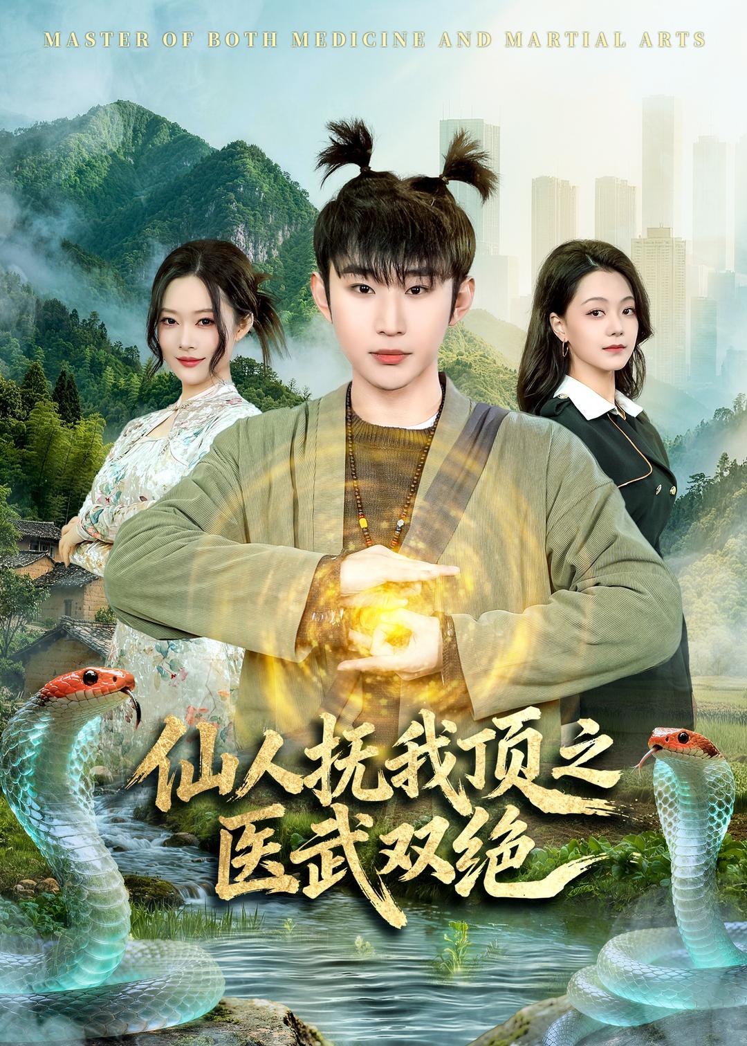 仙人抚我顶之医武双绝(全集)